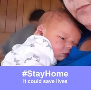 Meet your Posher, Donna